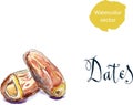 Delicious dried date fruit