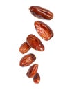 Delicious dried dates flying in the air close-up isolated on a white background Royalty Free Stock Photo
