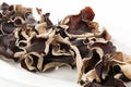 Jew's ear background. Royalty Free Stock Photo