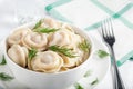 Delicious Dumplings and dill - russian pelmeni - italian ravioli - on white plate with fork. Close up view Royalty Free Stock Photo