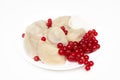 Delicious dumplings with fresh red currants and sour cream, served with sour cream, whipped cream, berries and sugar or sauce. On