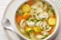 Soup with pelmeni dumplings a dish of Russian cuisine closeup on the bowl. Horizontal