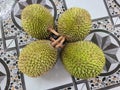 Delicious durians fruits with spkey outer