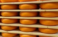 Delicious Dutch cheese in cheese ripening in amsterdam Royalty Free Stock Photo