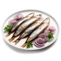 Delicious Dutch Herring with Onions on a Plate High Resolution Image .