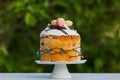 Easter cake, spring garden on a background, blured Royalty Free Stock Photo