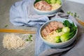 Delicious egg noodle with red pork and vegetable in bowl Royalty Free Stock Photo