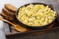 Delicious egg salad with apples and pickles seasoned with sauce close-up in a bowl. Horizontal