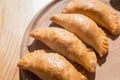 A delicious empanadas with chicken meat, typical dish of Argentinean cuisine