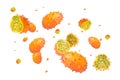 Delicious exotic kiwano fruits flying on white background