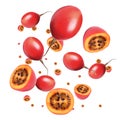 Delicious exotic tamarillo fruits flying on white background