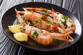 Delicious expensive food. langoustine, scampi with lemon and mel Royalty Free Stock Photo