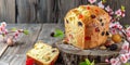 delicious festive Easter panettone, on a wooden desk with flowering cherry branches, banner