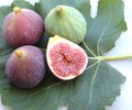 Delicious figs on a fig leaf. Royalty Free Stock Photo