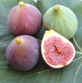 Delicious figs on a fig leaf, close up. Royalty Free Stock Photo