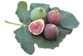Delicious figs on a fig leaf on white background Royalty Free Stock Photo