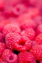 Delicious first class fresh raspberries background Royalty Free Stock Photo