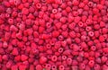 Delicious first class fresh raspberries background texture Royalty Free Stock Photo