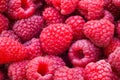 Delicious first class fresh raspberries close up texture - background Royalty Free Stock Photo