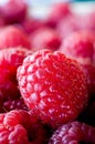 Delicious first class fresh raspberries closeup