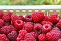 Delicious first class fresh raspberries in crates