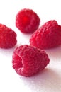 Delicious first class fresh raspberries Royalty Free Stock Photo