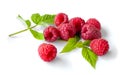 Delicious first class fresh raspberries Royalty Free Stock Photo