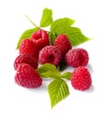 Delicious first class fresh raspberries isolated on white background Royalty Free Stock Photo