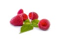 Delicious first class fresh raspberries isolated on white background Royalty Free Stock Photo