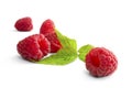 Delicious first class fresh raspberries isolated on wite Royalty Free Stock Photo