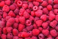 Delicious first class fresh raspberries