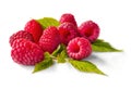 Delicious first class fresh raspberries Royalty Free Stock Photo