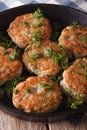 Delicious fish cakes with dill closeup in a pan. vertical Royalty Free Stock Photo