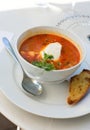 Delicious fish soup with salmon Royalty Free Stock Photo