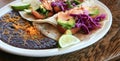 Delicious Fish Tacos Royalty Free Stock Photo