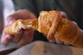 Delicious flaky croissant being pulled apart Royalty Free Stock Photo