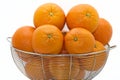 Delicious Florida oranges Royalty Free Stock Photo