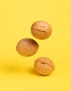 Delicious flying walnuts on yellow background.