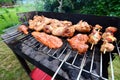 Delicious food grilling on a grill Royalty Free Stock Photo