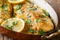 Delicious food: trout fish with garlic lemon butter sauce, parsley close-up in a copper frying pan. horizontal
