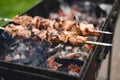 Delicious and fragrant meat, skewers on grill