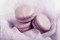 Delicious french dessert. Three gentle pastel soft pink cakes macaron or macaroon on airy fabric