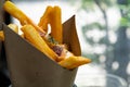 Delicious french fries topping with cheddar cheese cream and crispy bacon on close up side view Royalty Free Stock Photo