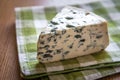 Delicious french molded cheese Royalty Free Stock Photo