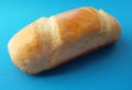 Delicious French roll bread. Soft and sweet bun over blue background.