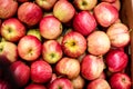 Delicious fresh apples close-up. avitaminosis, harvest, temptation - concept