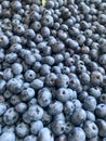 Delicious fresh beautiful healthy vitamin blueberry berry for wholesome nutrition with antioxidants and trace elements. Background