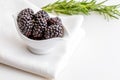 Delicious fresh blackberries and ripe black and reddish garnet. In white bowl and isolated background. Royalty Free Stock Photo