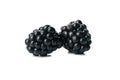 Delicious fresh blackberry isolated on background Royalty Free Stock Photo