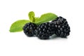 Delicious fresh blackberry isolated on background Royalty Free Stock Photo